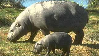 Moby - Porcelain / Novio (McLyn Mix)