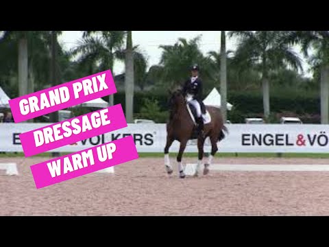 Katherine Bateson: Grand Prix Dressage Warm Up Footage