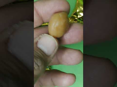 Dubai Gold Coin candy 🍬 😋#shorts