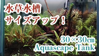 30㎝キューブ水槽へサイズアップ!【小型水草水槽】#5