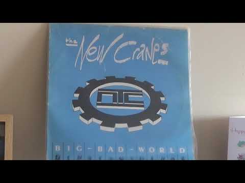 The Newcranes - Big Bad World 1991 vinyl single