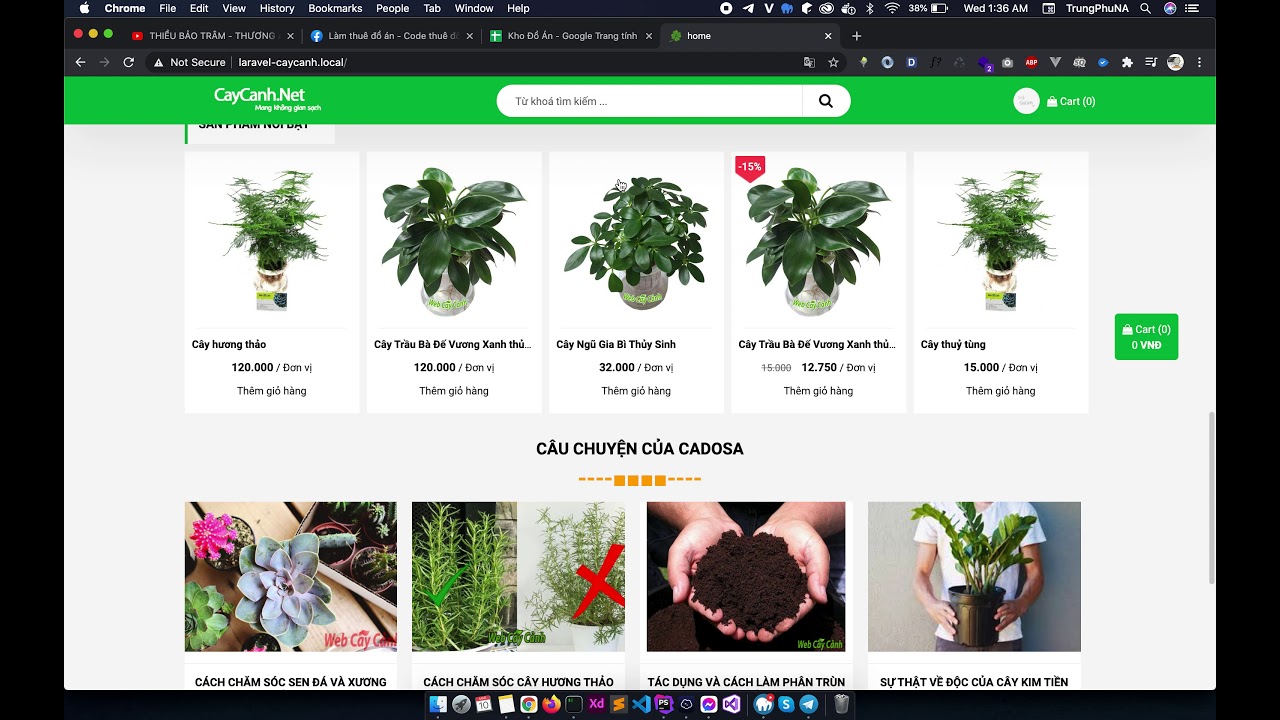 Support đồ án - Website cây cảnh - Đồ án tốt nghiệp - Làm thuê đồ án  cntt - Code thuê