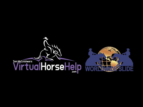 NRBC 2017 – Limited Non Pro Co Champions