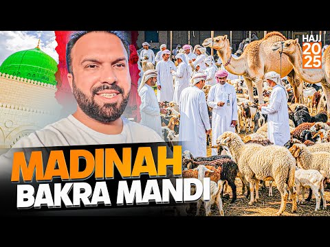 Madinah Ki Bakra Mandi | Goats 🐐 Sheeps🐑 Camels 🐪 Latest Price Comparison 🏷️ Before Hajj2025