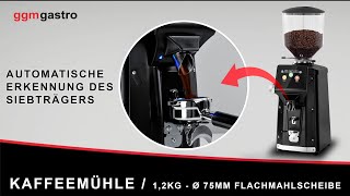 Moulin à café – 1,2 kg – avec système de refroidissement – meule plate Ø 83 mm – détection automatique du porte-filtre – Noir