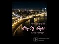 Pink Martini - City Of Night ( Loli G Refresh)