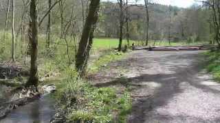preview picture of video 'Ruisseau du sous-bois en avril'