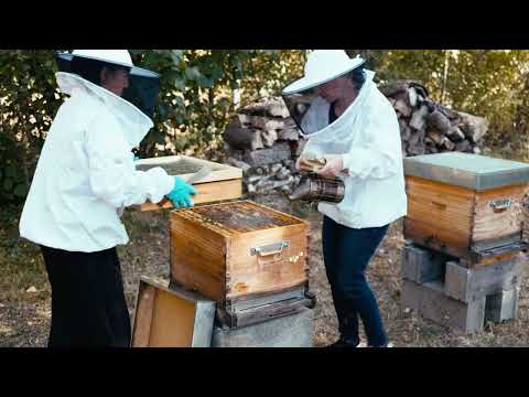 Monitoraggio della Temperatura