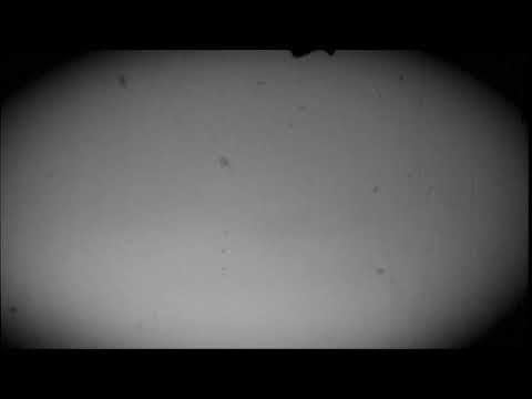 Eisbrecher - Teaser - Stossgebet Video