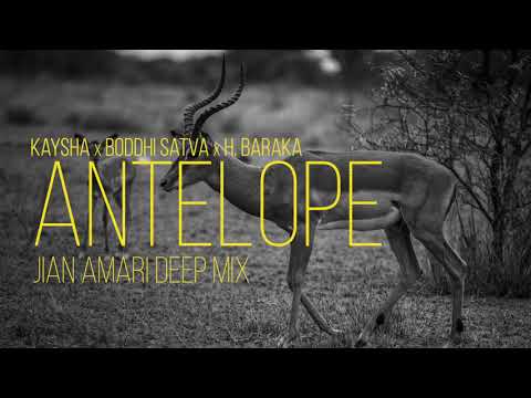 Kaysha x Boddhi Satva x H. Baraka - Antelope | Jian Amari Deep Mix