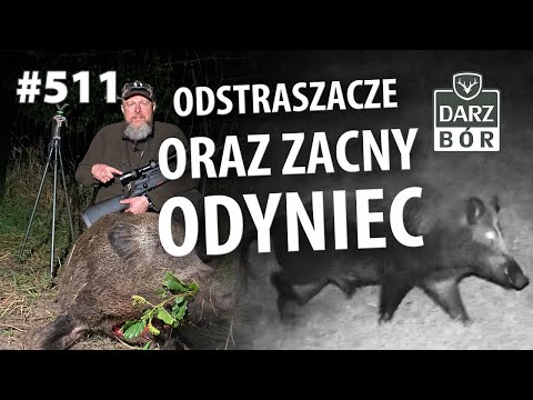 Darz Bór odc. 511 Z tatą na polowaniu. Jak odstraszyć zwierzynę od pola kukurydzy.
