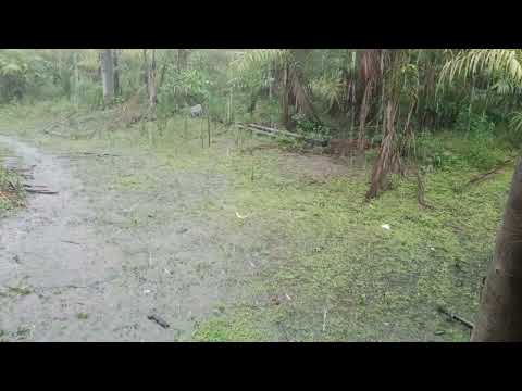 Será que chove em sete barras sp 