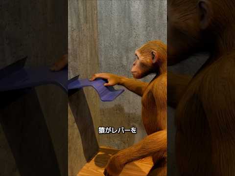 スキナーの猿実験が明かす中毒の正体