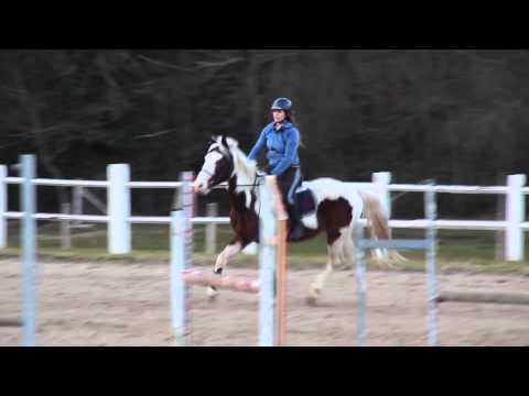 Cours de saut n°2 (12/03/2015)