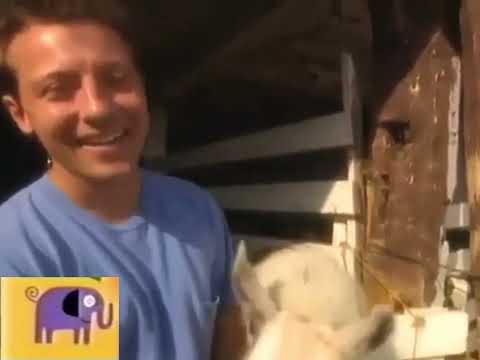 Noggin’s Critter Corner: Farm (Zoboomafoo)