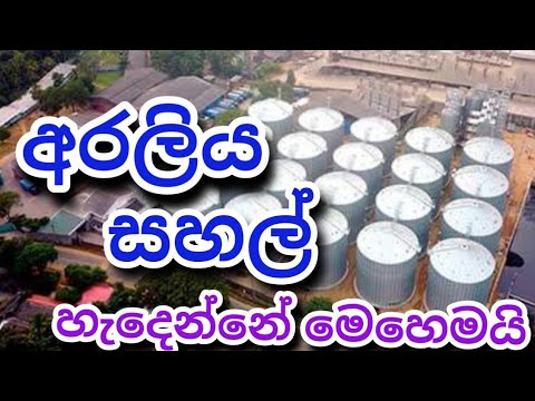 Araliya sahal polonnaruwa අරලිය සහල් Srilankan best Rice
