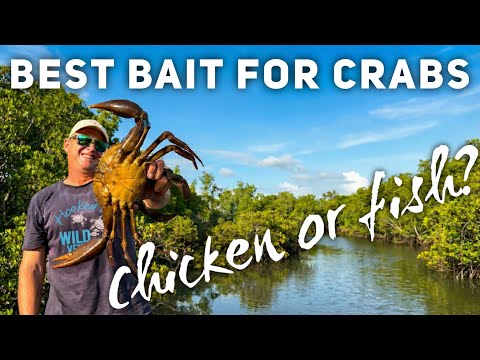 CATCH & COOK: Giant Mud Crab Linguine! (Barra Carcass vs. Chicken? 🦀) Remote Australia Ep66   4K