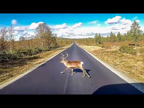 Mit dem Wohnmobil nach Schweden - inkl. GPS Koordinaten - September 2018 (Teil 2/3)