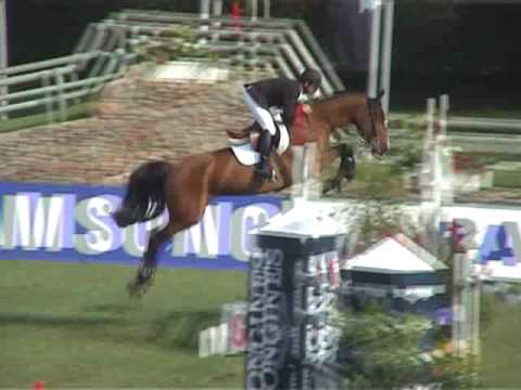 Narcotique de Muze II- jumping horse by Darco