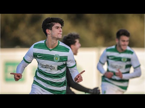 Rodrigo Ribeiro - Goals, Skills & Assists | HD