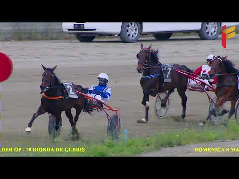 V Corsa del 8 Maggio 2022 - 5 Anni ed oltre - Metri 1600