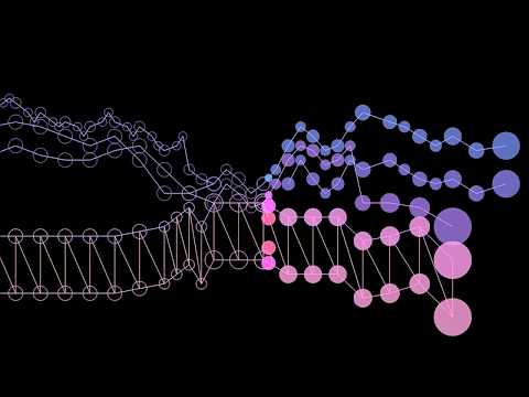 J.S. Bach: Brandenburg Concerto No. 1 in F major, BWV 1046 (Synthesized)