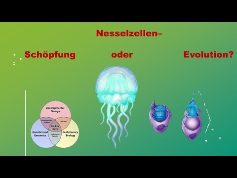 Evolution to go - 1: Schnelle Evolution der Seeanemonen