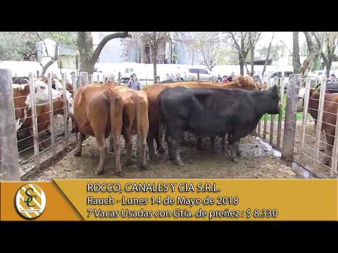 14-05-18 Venta de Vientres - Rocco, Canales y Cia S.R.L. - Rauch.