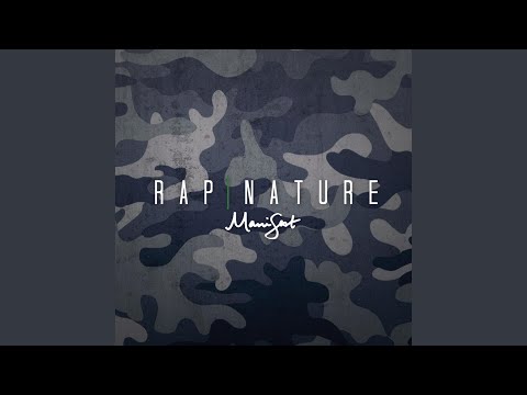 Phoenix (feat. Amanda Lee)