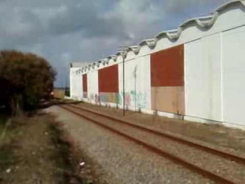 CP 1963 | 50366 | Caldas da Rainha