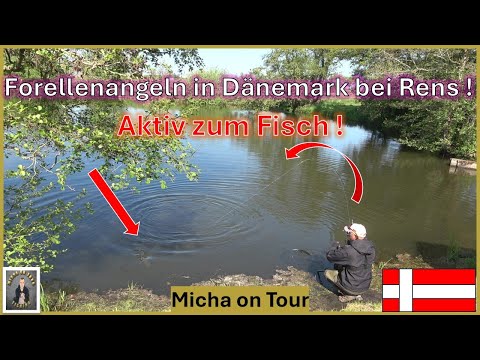 Forellenangeln in Dänemark am letzten Tag bei Rens !