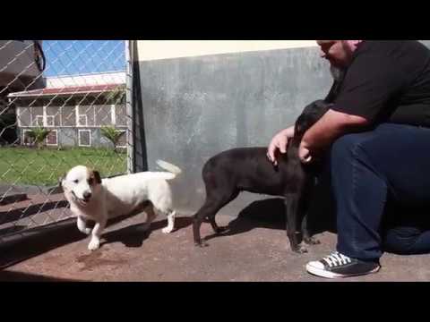 Recuperação de Lord e Latifa