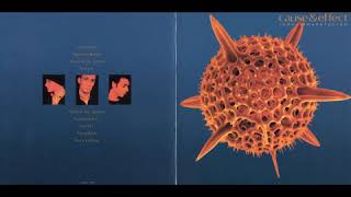 Cause &amp; Effect - Eclipse