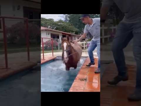 Olha ele aí de novo 😍