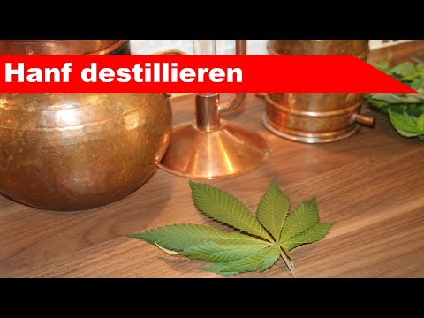 🌷 Hanf destillieren 🌻 - ätherisches Cannabis-Öl selber machen - diSTILLed