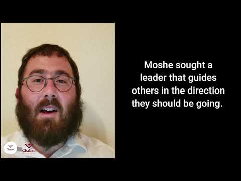 The Parsha in 7 Minutes | Parsha Pinchas