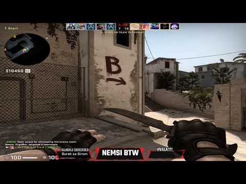 Nemsi LAJV-IDEMO PO TAJ RANK UP