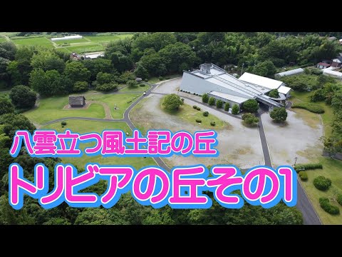 教育学科 八雲立つ風土記の丘トリビアその１　 #八雲立つ風土記の丘 #出雲 #しまね  #トリビア #ひみつ