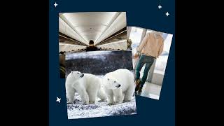 Fly to Churchill Manitoba on a private jet to see Polar Bears!