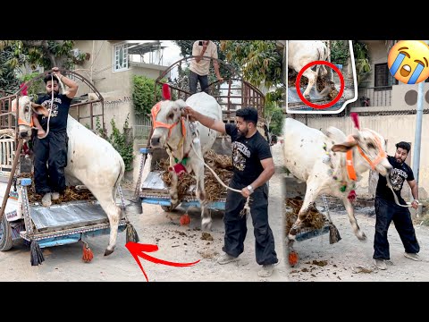 MY COW UNLOADING GONE WRONG 😭 I TIRE BLAST | SYED FAHAD