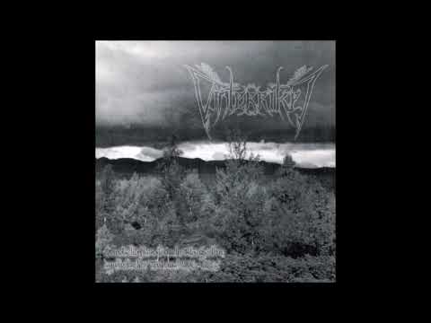 Vinterriket - Landschaftsmalerische Klangwelten synthetischer Tonkunst (Full Compilation Album)