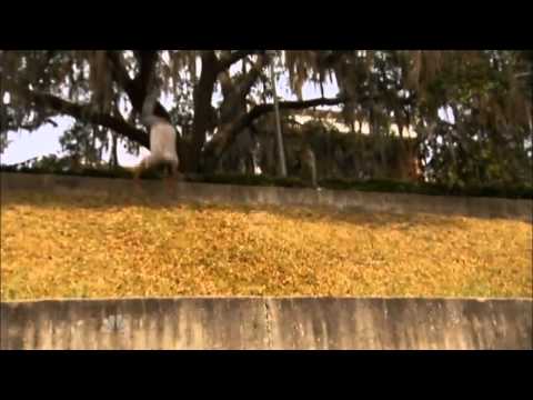 Drew Drechsel American Ninja Warrior 3 Part 2