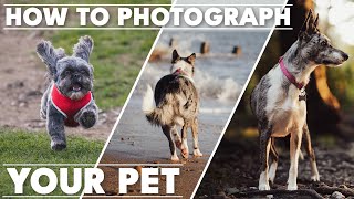 How to Photograph your Pet | Tutorial Tuesday