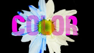 Colorful Tricks You Have To See To Believe