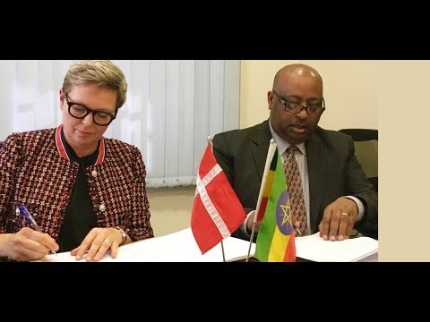 ETHIOPIAN REPORTER TV | English News 12/01/2018