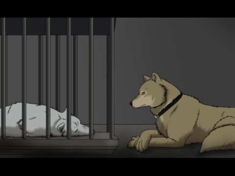 Wolf's Rain Fandub - Hige meets Kiba (collab with RiffDumpster88)