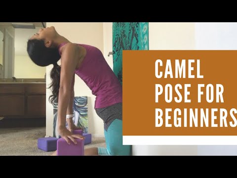 Camel Pose for Beginners| Elnaz Yoga 360