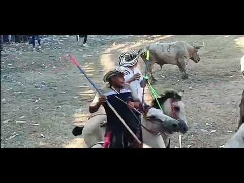 Corraleja en purísima córdoba 