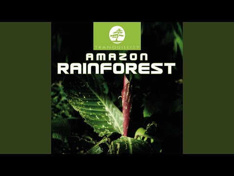 Amazon Rainforest Part 1 - Original