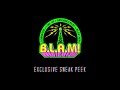 Bonnaroo Lineup Announcement Megathon Sneak Peek BLAM 2014